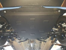 Stahl Unterfahrschutz für Motor, Getriebe Ford EcoSport (2017-2026)
